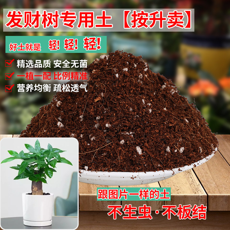 发财树专用土营养土杜鹃花茉莉花虎皮兰家用花土盆栽种植土壤肥料