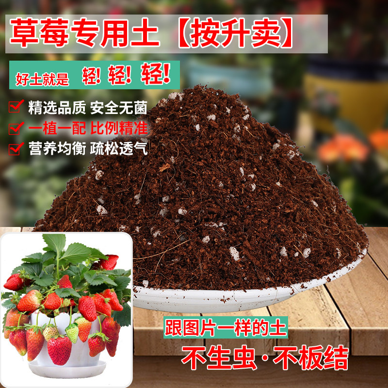 草莓专用营养土草莓有机肥料专用土壤草莓苗盆栽阳台种植泥土