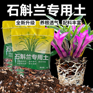 石斛專用土鐵皮石斛蘭花營(yíng)養(yǎng)土顆粒盆栽種植土壤大樹皮石斛蘭專用