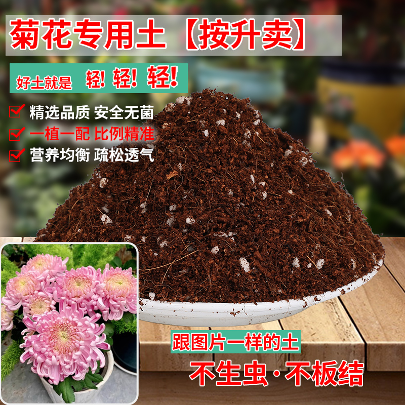 菊花专用土雏菊花专用营养土盆栽养花种花土通用种植酸性土壤肥料-封面