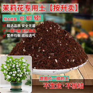 茉莉花专用土营养土培育土肥料专用肥土壤盆栽花卉泥土种植土花土