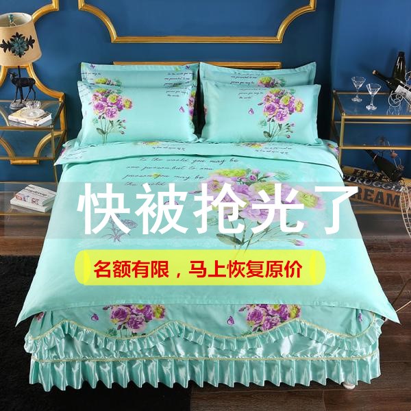 2019新款全棉床裙纯棉四件套蕾丝单双人加厚磨毛床罩公主风床上品