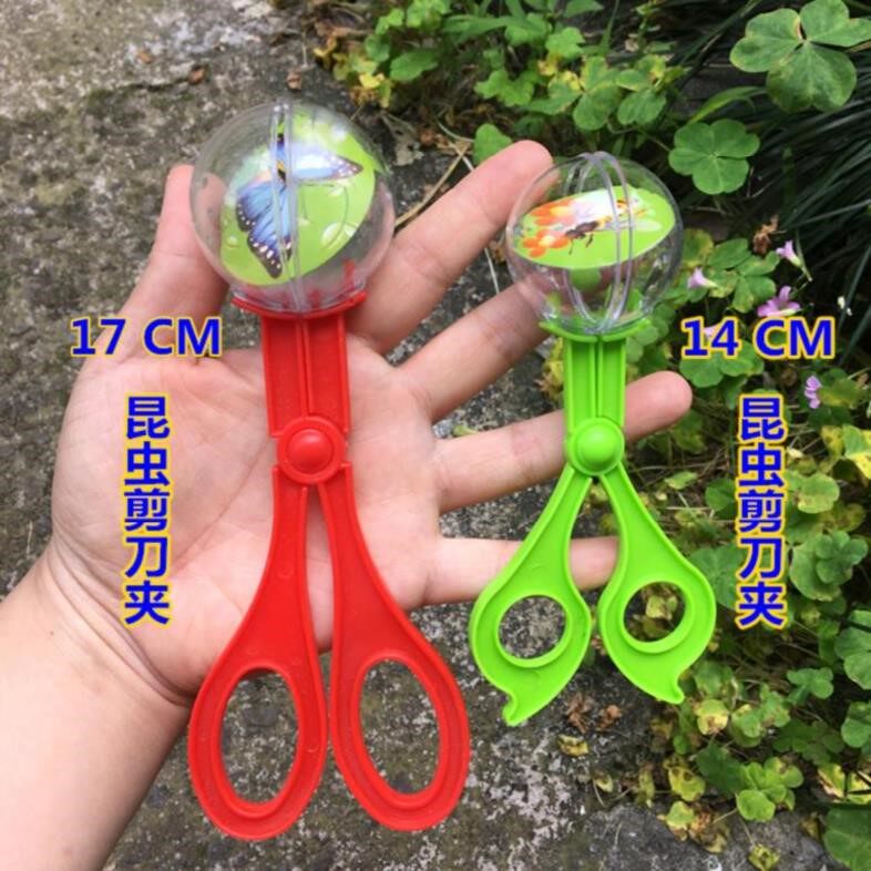 户外礼物益智教具观察盒