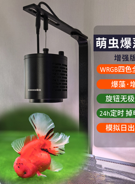 萌虫金鱼增色爆藻灯M4兰寿泰狮绿苔水草全光谱高亮度LED增艳筒灯