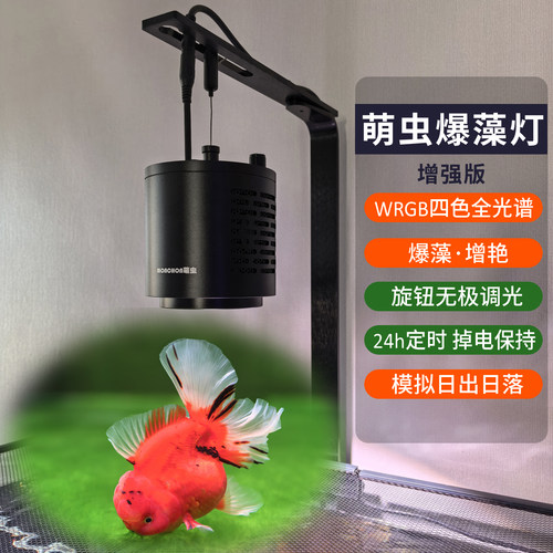 萌虫金鱼增色爆藻灯筒灯