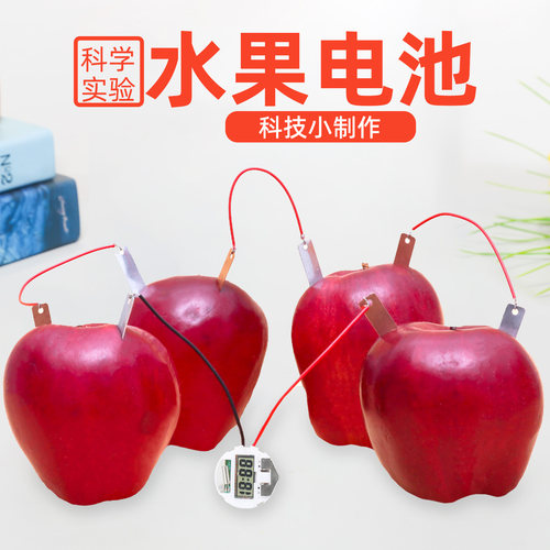 旦夫子水果电池实验diy材料包