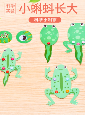 科技小制作小蝌蚪的一生stem教具青蛙变化过程学生科学实验小发明
