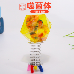 儿童diy噬菌体T4模型可活动微生物病毒科学小实验套装器材包教具