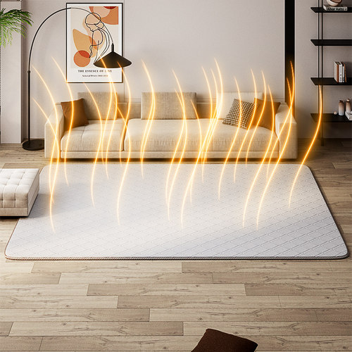 石墨烯电热地毯迷冬阳皮面