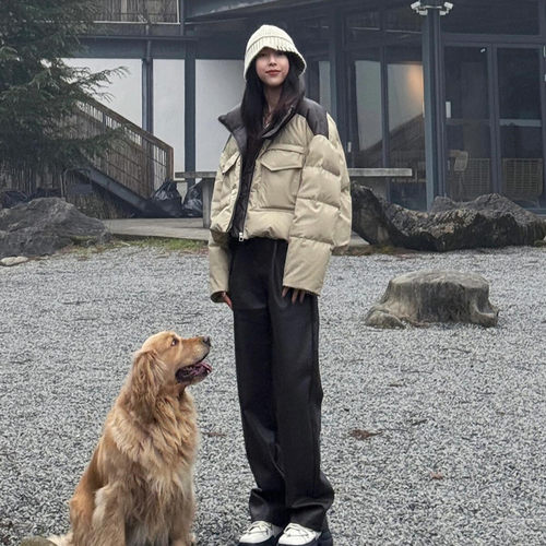 晶煊时尚洋气立领短款羽绒棉袄女