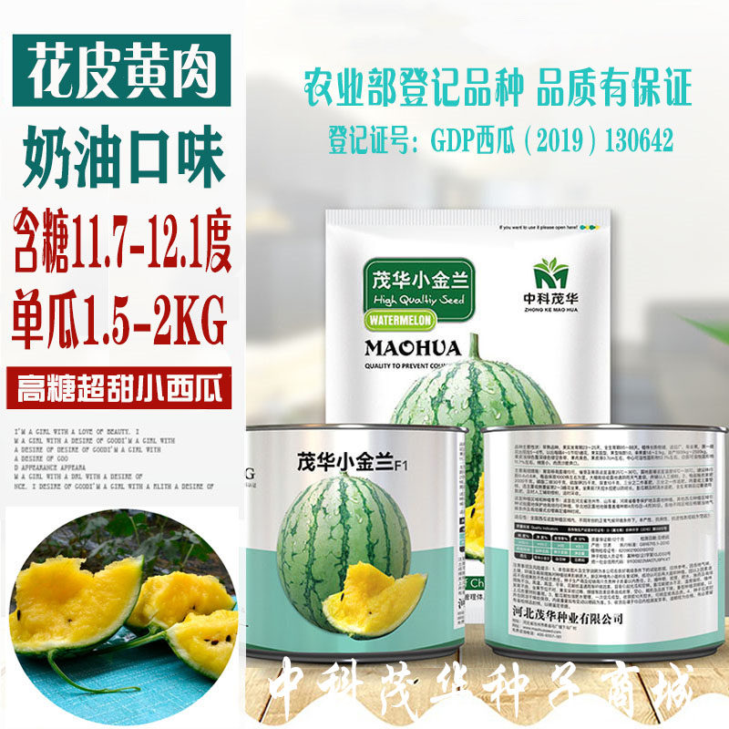 茂华小西瓜种子兰月小金兰甜王四季盆栽小红玉礼品瓜西瓜种籽