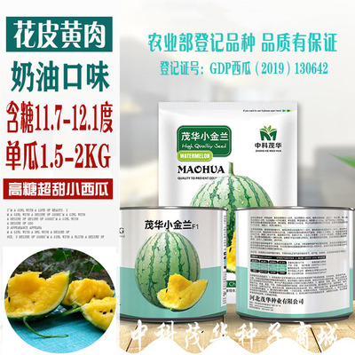 黄壤西瓜高产四季花皮茂华金兰