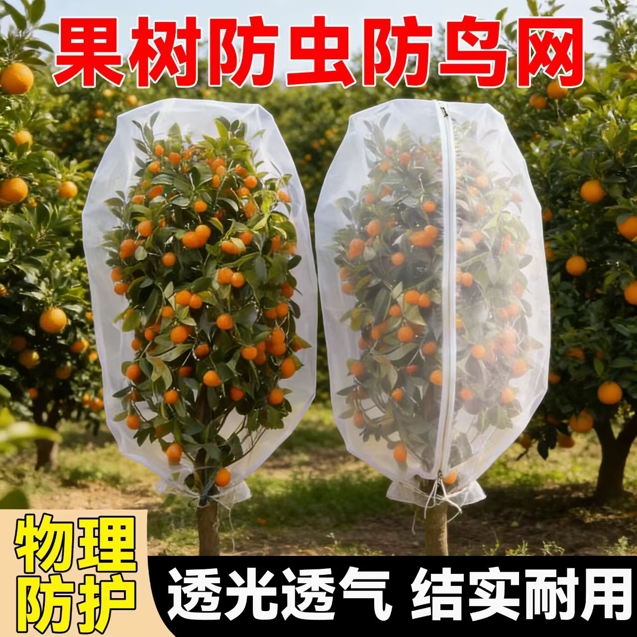 果树防虫网防鸟罩袋蓝莓杨梅莲雾
