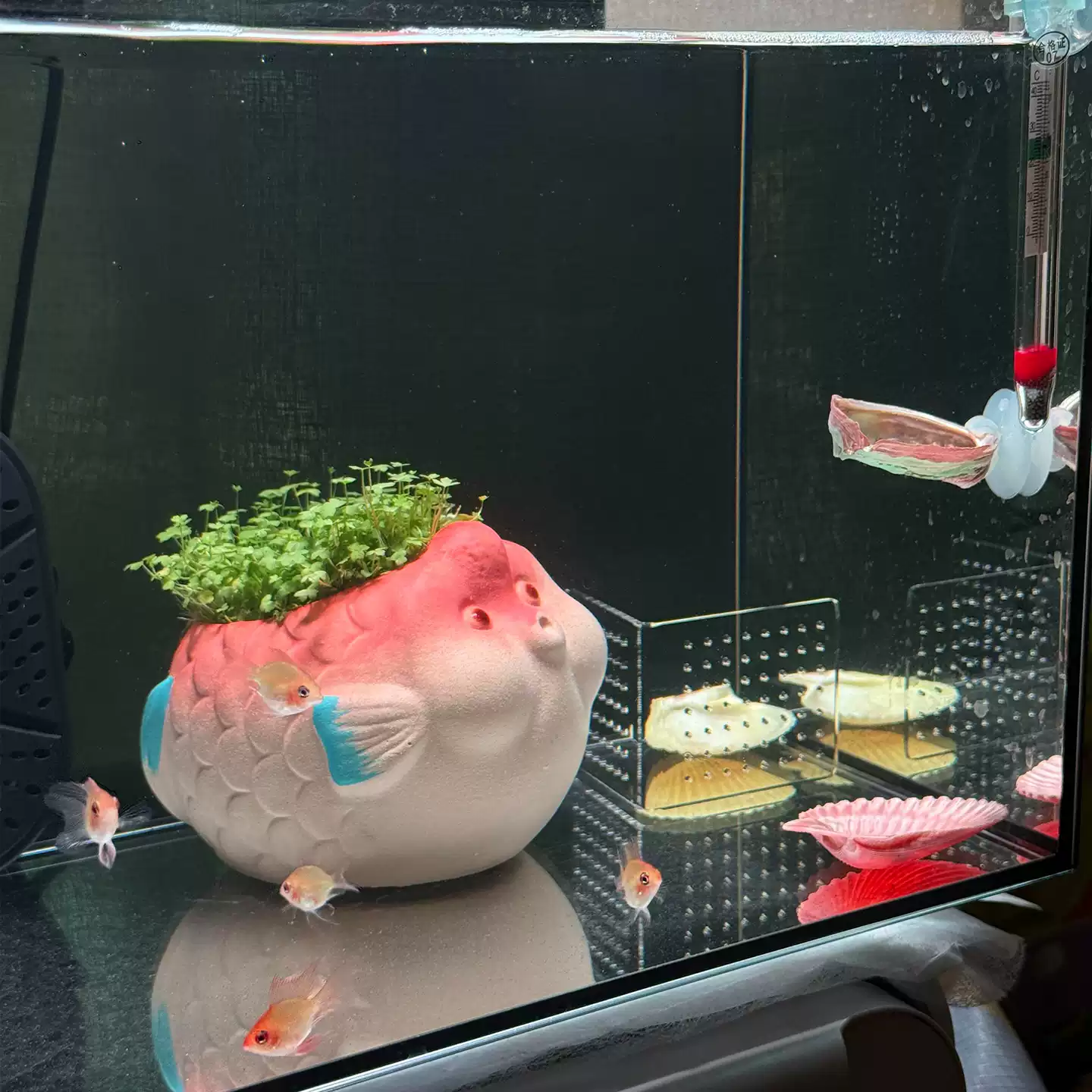 水草鱼缸造景摆件陶瓷陶盆陶罐