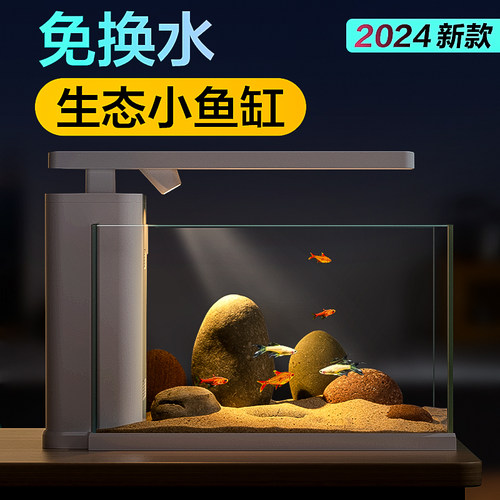 南美风生态小鱼缸长久免换水