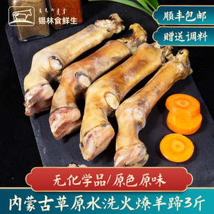 羊蹄子内蒙古羊蹄冷冻商用批发羊蹄筋古法火燎整只羔羊蹄子羊脚蹄