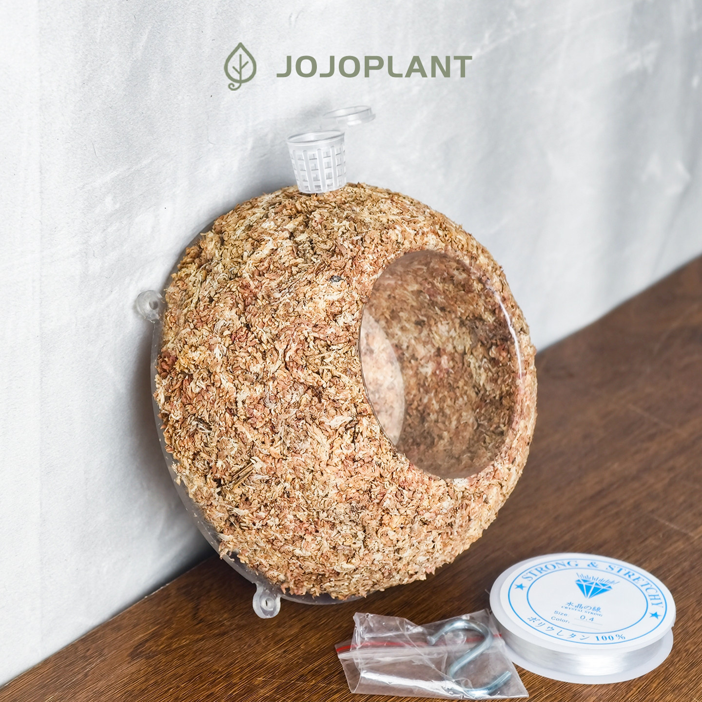 【水苔球】板植神器 JoJoPlant 智利进口水苔 鹿角蕨兰花蕨类通用