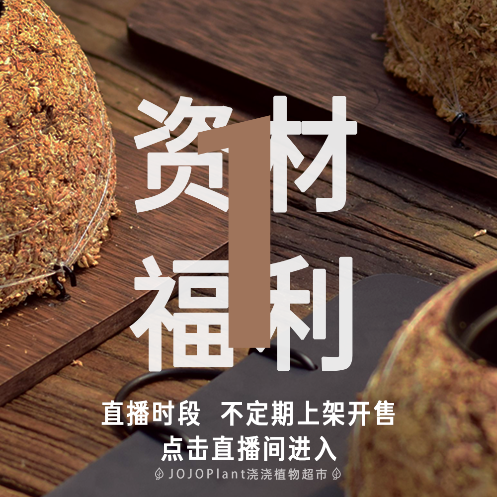 【资材福利】浇浇植物超市JoJoplant,鲜花速递/花卉仿真/绿植园艺,热植养护设备,淘宝优惠券,粉丝福利购,淘宝优惠卷
