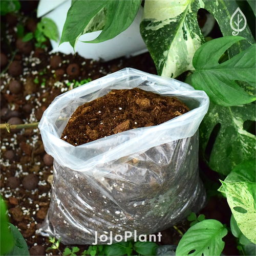 【土】热植通用土泥炭土 浇浇植物超市-透气泥炭颗粒土