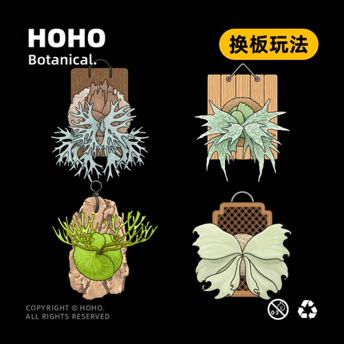 浇浇xHOHO【冰箱贴】鹿角蕨热植磁吸冰箱贴植物创意DIY冰箱贴