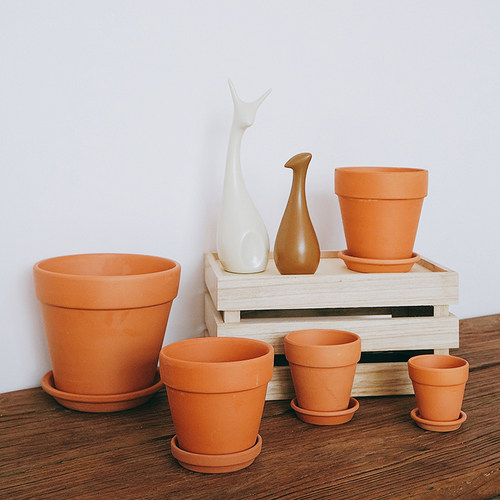 红陶花盆透气多肉育苗拇指