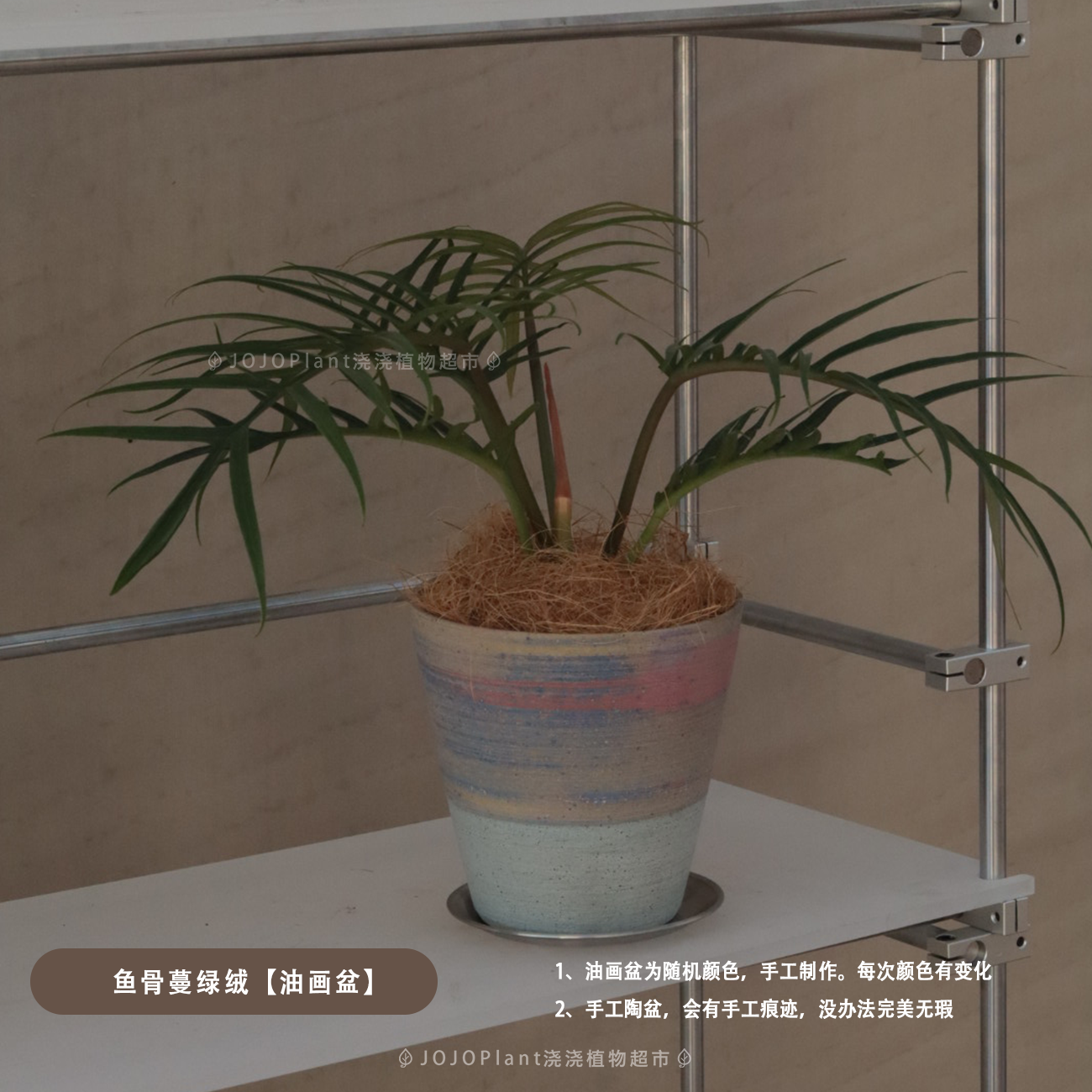 【家居系列陶盆】陶土花盆兰花盆高级感粗陶创意简约透气颜植花盆