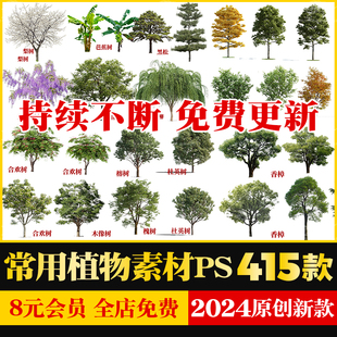 高清PS常用园林景观植物乔灌木立面树效果图后期PSD分层素材榕树