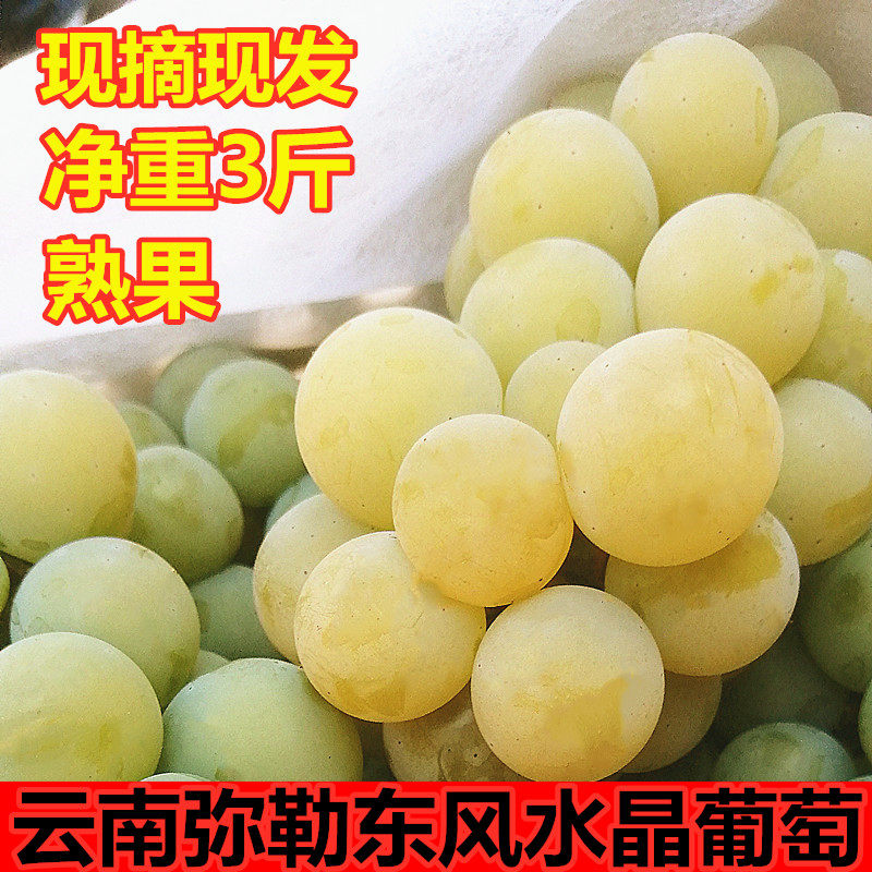 云南弥勒新鲜现摘水晶葡萄