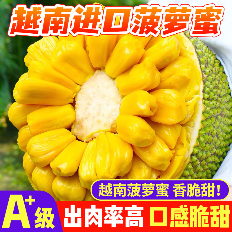 正宗越南进口菠萝蜜干苞脆甜产地直采新鲜水果直发