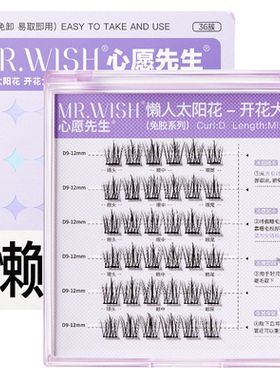 心愿先生懒人太阳花开花大眼