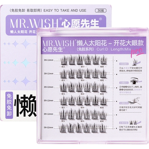 心愿先生懒人太阳花开花大眼