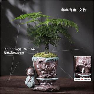 文竹盆栽植物室内花卉办公室桌面绿植好养景观四季常青小竹子盆L