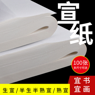 宣纸书法专用纸毛笔练字纸国画生宣专用书法练习纸半生熟作品纸工笔画熟宣用纸半熟仿古四尺对开三开4尺整张