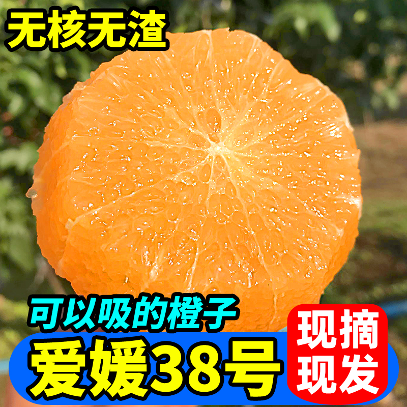 【三苏农家】四川眉山爱媛38号果冻橙新鲜应季水果手拨橙柑橘桔