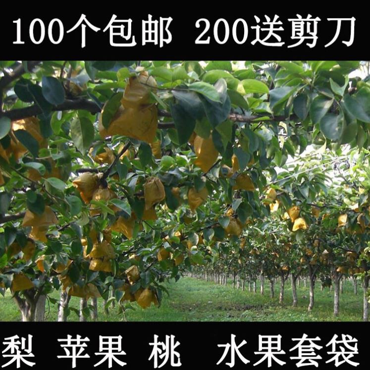 梨子套袋专用袋梨专用套袋单双层纸袋子黄金梨苹果桃套袋防鸟虫防