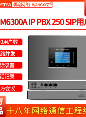 Grandstream潮流网络UCM6300A电话录音250用户数IPPBX电话交换机