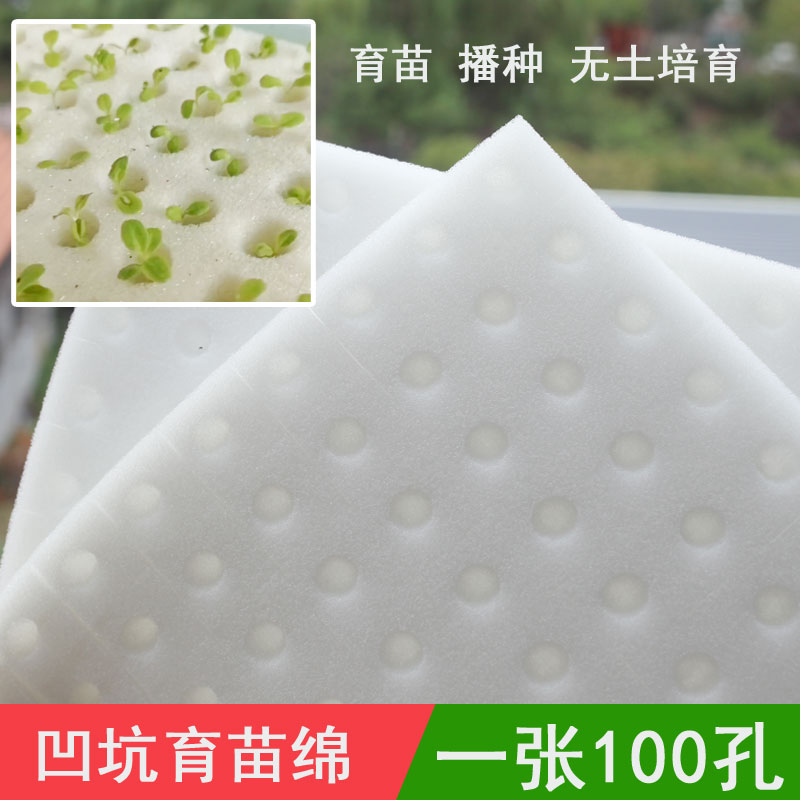 艺术秀育苗海绵新品促销