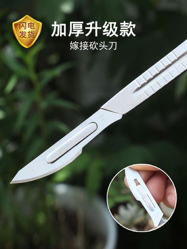 多肉芽接刀十二卷砍头刀艺术秀