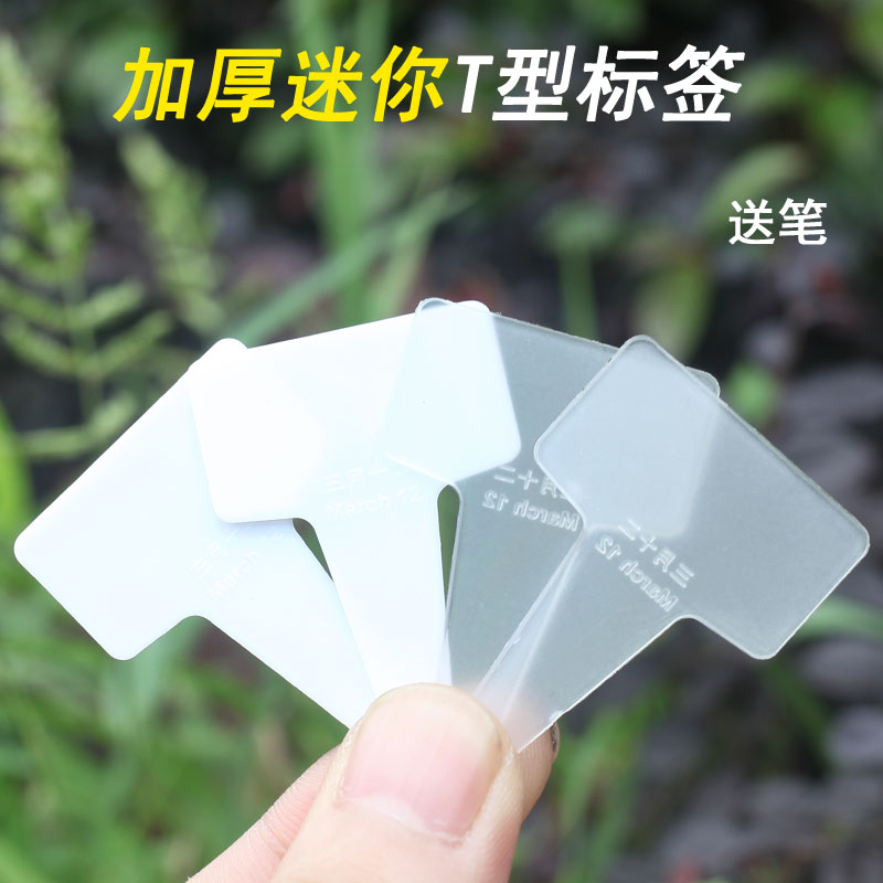 艺术秀迷你加厚标签新品包邮送笔