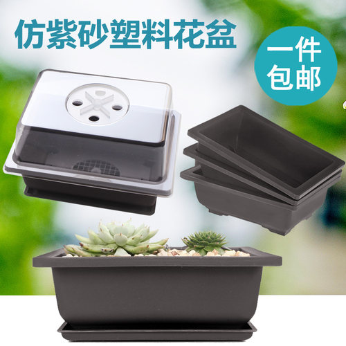 塑料盆中国风多肉植物播种叶插盆