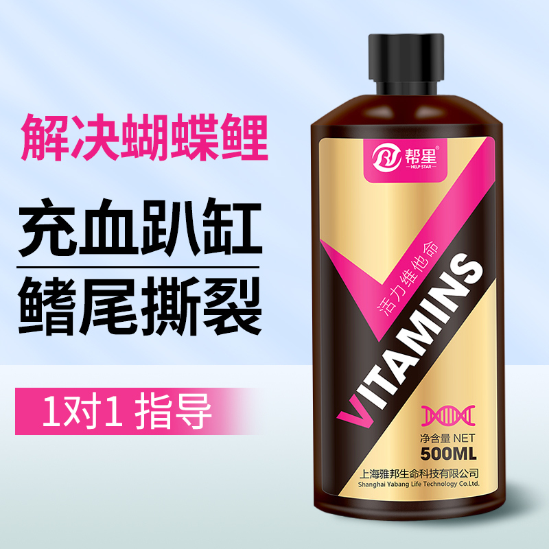 调理蝴蝶鲤充血趴缸厌食抗应激