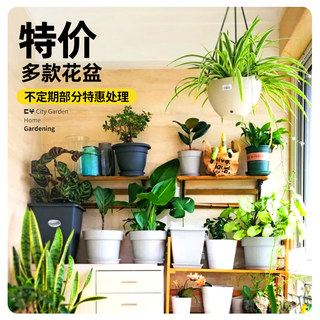 花盆包邮特价自吸水盆塑料长方形花盆小号中号大号种植盆多款清仓