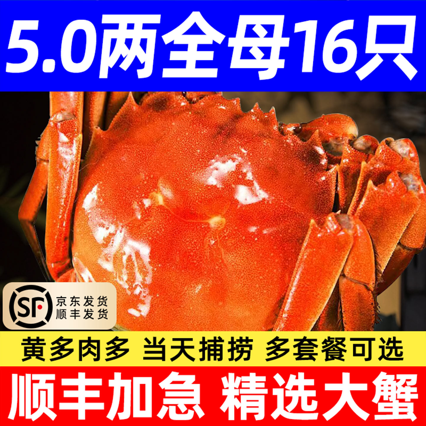 顺丰阳澄河蟹湖蟹大闸蟹鲜活