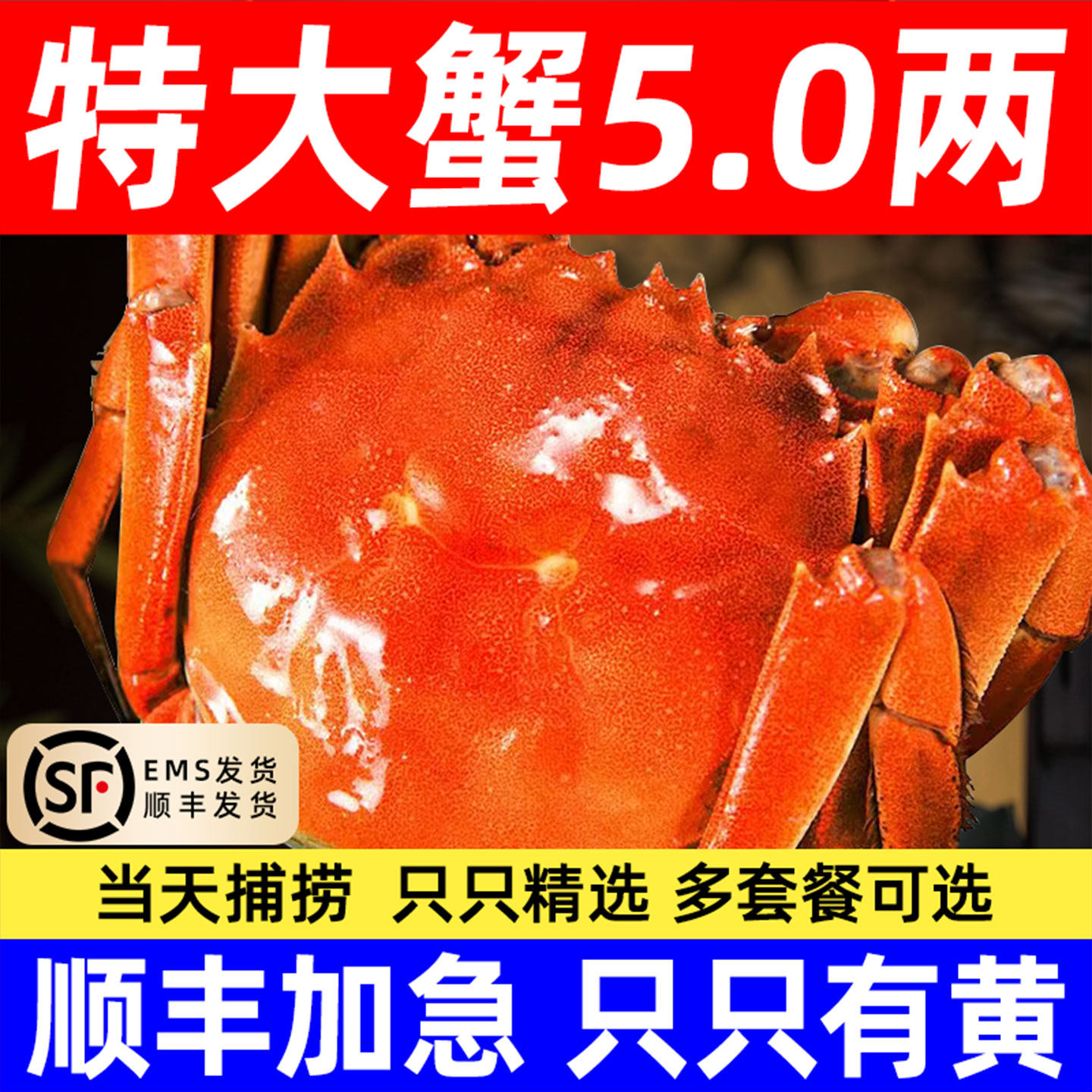 活蟹红膏螃蟹大闸蟹鲜活毛蟹海鲜水产6-16只红膏蟹河蟹官方旗舰店