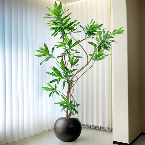百合竹大盆栽造型客厅真绿植落地轻奢好养真花室内 老桩大型植物