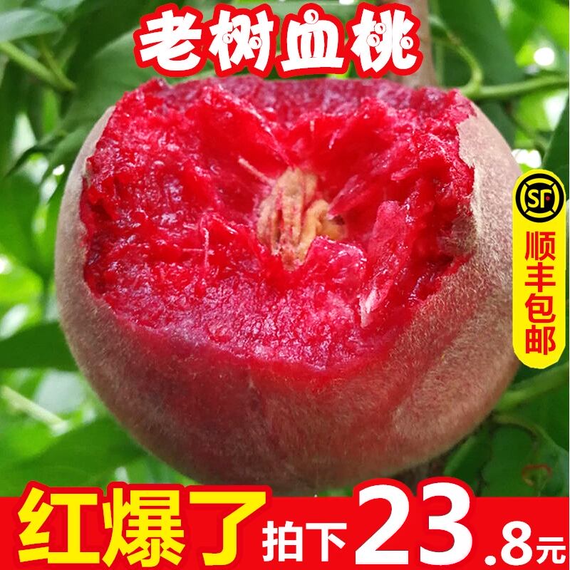 新鲜助农血桃5斤应季红心水果当季顺丰整箱吃货湖北10水蜜桃桃子