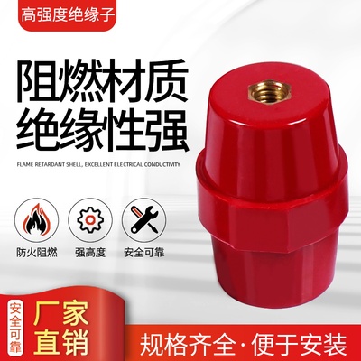 SM绝缘子30*30M6铁螺牙