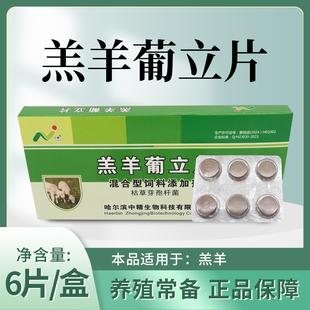 中精羔羊葡立片一盒六片羔羊瘫软站不起来无力卧地不吃奶醉酒样