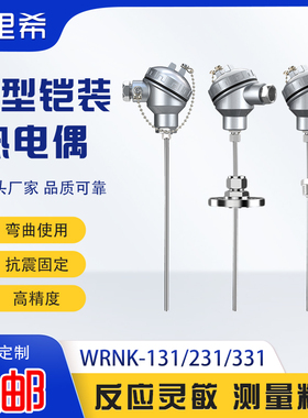 K型铠装热电偶耐高温防爆可弯曲K/PT-100热电阻装探针式热电偶