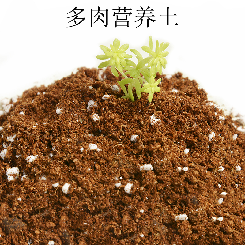 轩跃多肉植物专用土包邮养花营养土种植土通用型园艺用品花盆家用